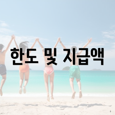 한도 및 지급액