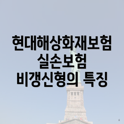 현대해상화재보험 실손보험 비갱신형의 특징