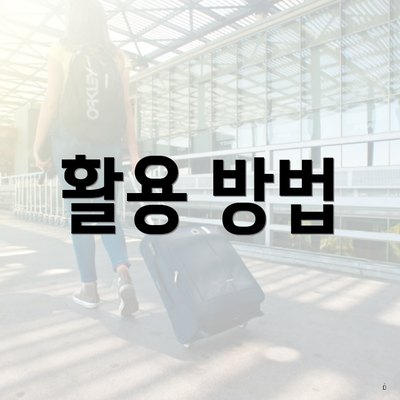 활용 방법