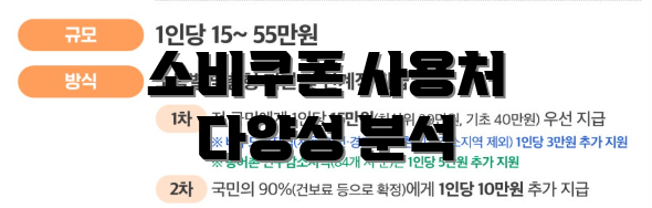 소비쿠폰 사용처 다양성 분석