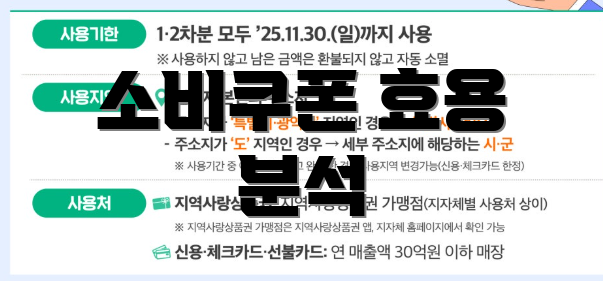 소비쿠폰 효용 분석