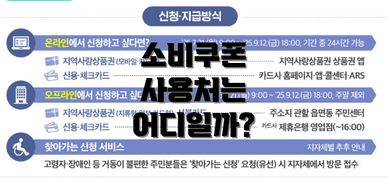 소비쿠폰 사용처는 어디일까?