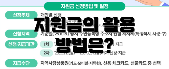 지원금의 활용 방법은?
