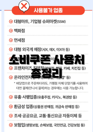 소비쿠폰 사용처 총정리