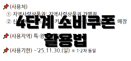 4단계 소비쿠폰 활용법