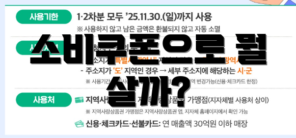 소비쿠폰으로 뭘 살까?